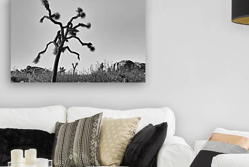 IMG 1612 Edit 4 Joshua Tree National Park Cal by Gestalt Imagery