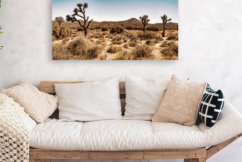 Joshua Tree National Park California by Gestalt Imagery