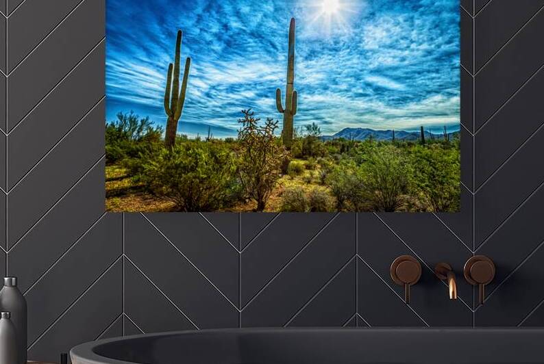 Saguaro National Park Arizona by Gestalt Imagery