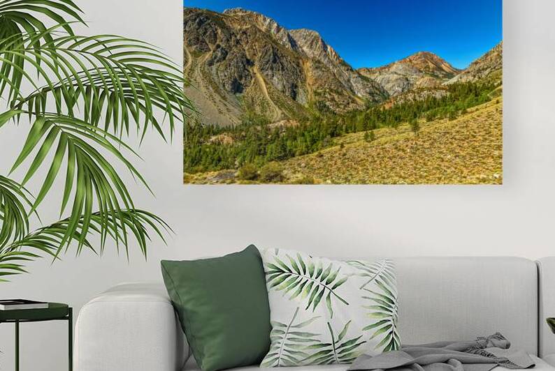 IMG 0978 Edit Tioga Pass Yosemite National Pa by Gestalt Imagery