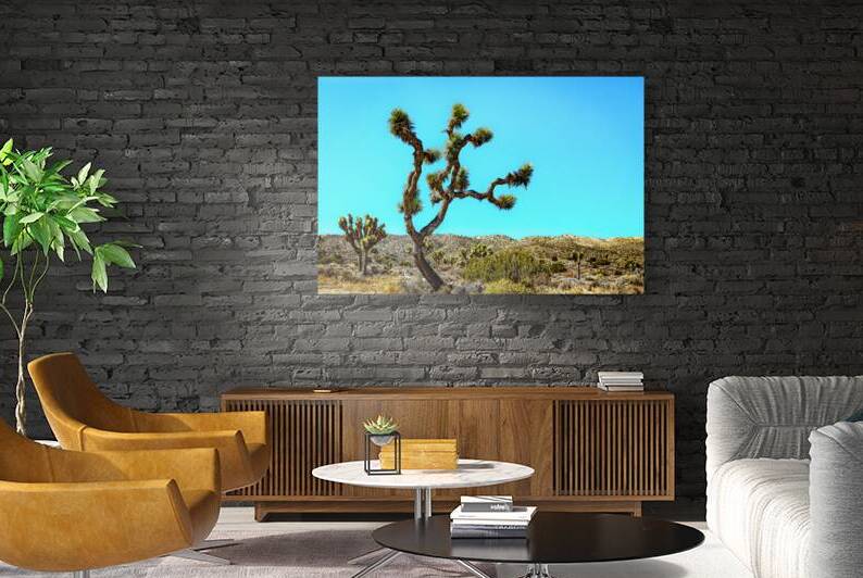 Joshua Tree National Park by Gestalt Imagery