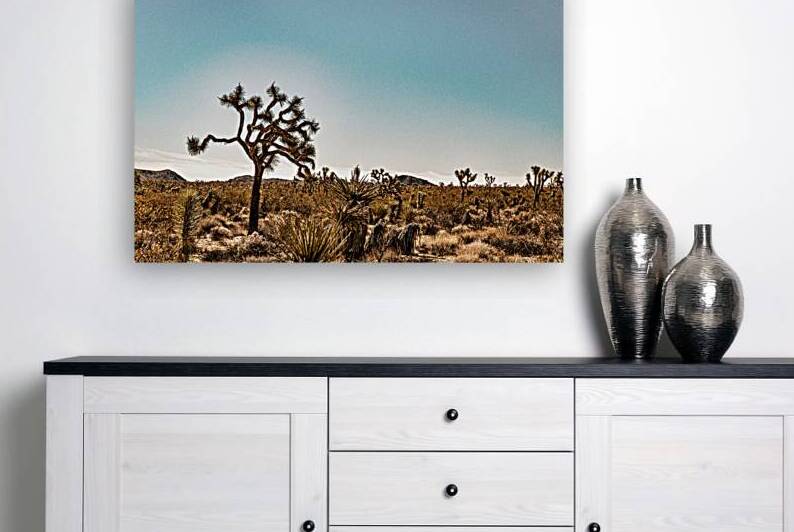 IMG 1626 Edit Joshua Tree National Park Calif by Gestalt Imagery