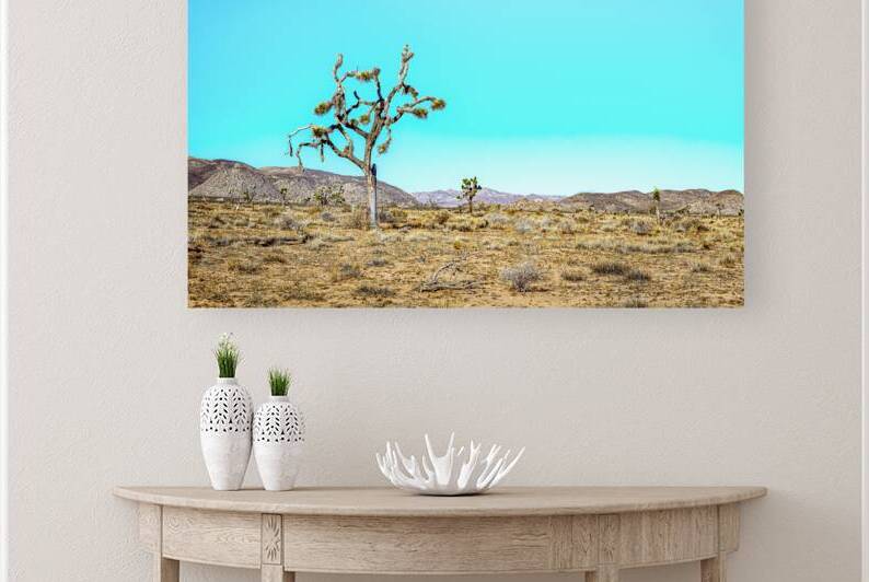IMG 1629 Edit Joshua Tree National Park Calif by Gestalt Imagery
