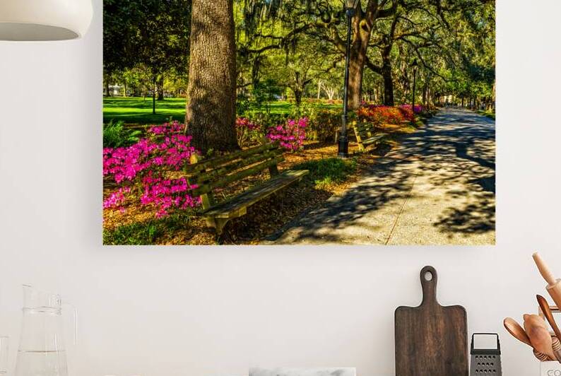 Forsyth Park Savannah Georgia in Spring by Gestalt Imagery