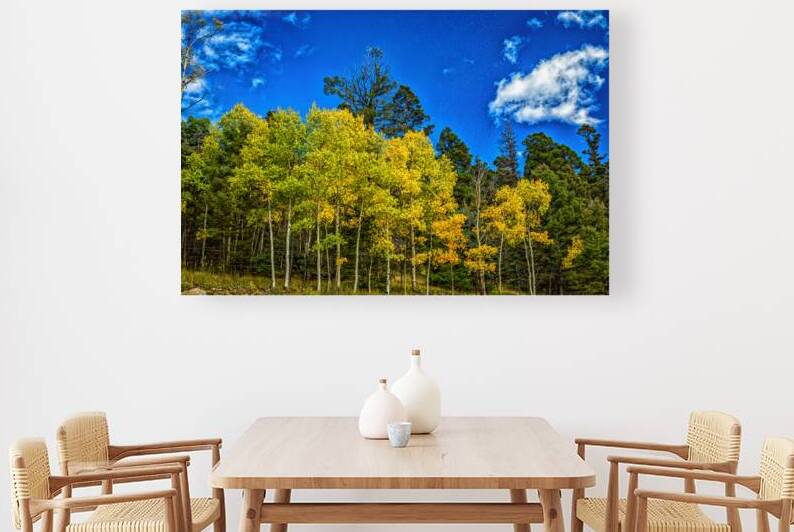 IMG 2421 Edit Aspen leaves changing by Gestalt Imagery