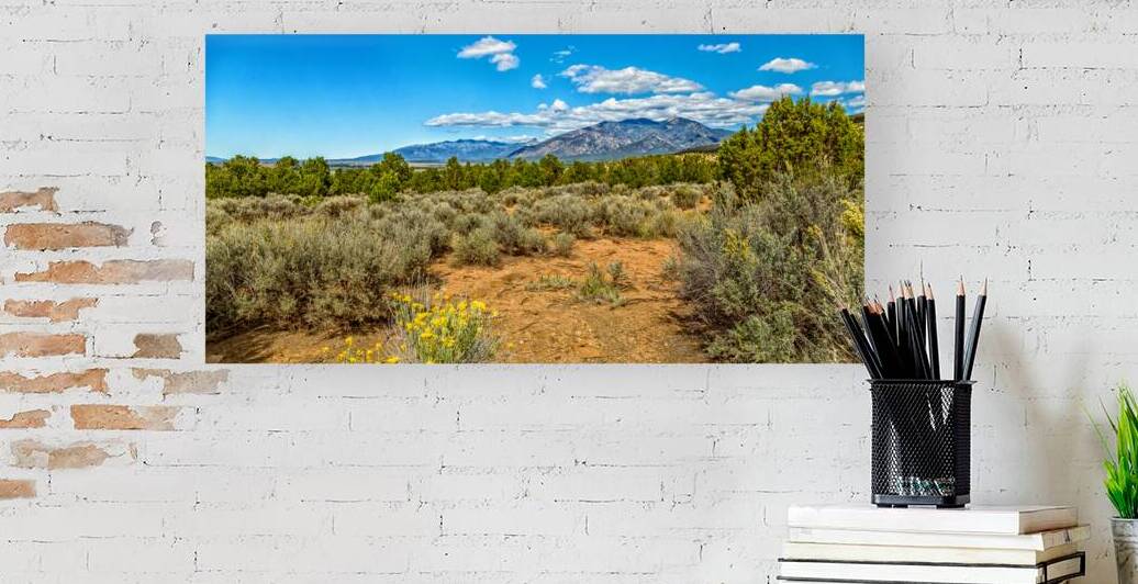 IMG 2368 Edit Kit Carson National Forest by Gestalt Imagery