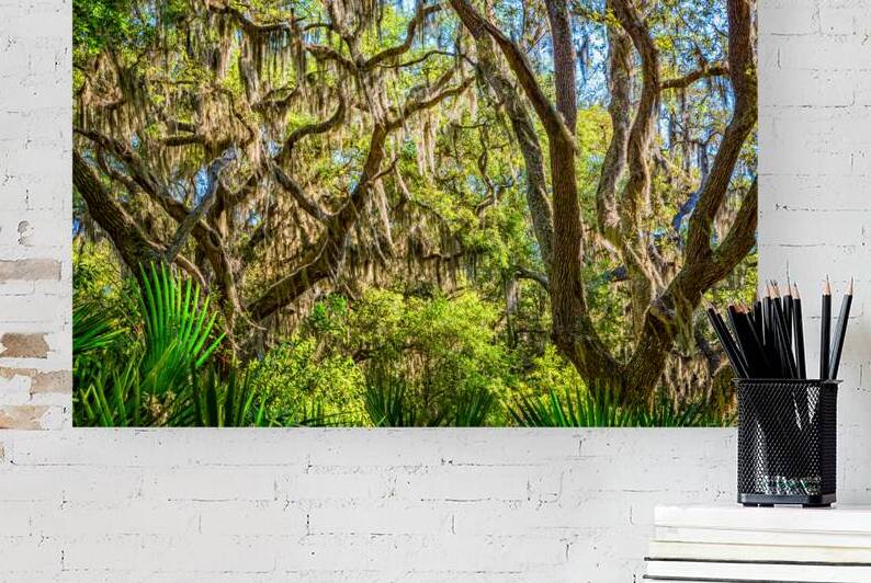 IMG 2810 Edit Cumberland Island National Seas by Gestalt Imagery