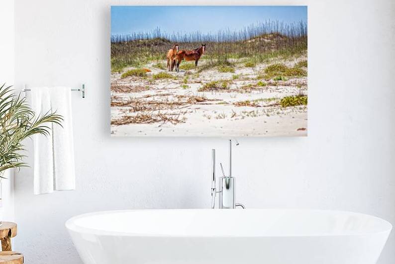 IMG 3198 Edit Wild Horses at Cumberland Islan by Gestalt Imagery