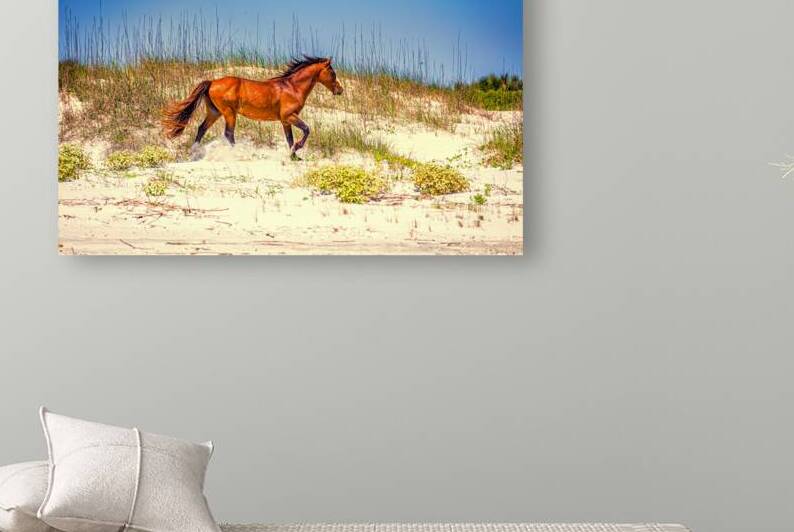 IMG 3301 Edit Wild Horses at Cumberland Islan by Gestalt Imagery