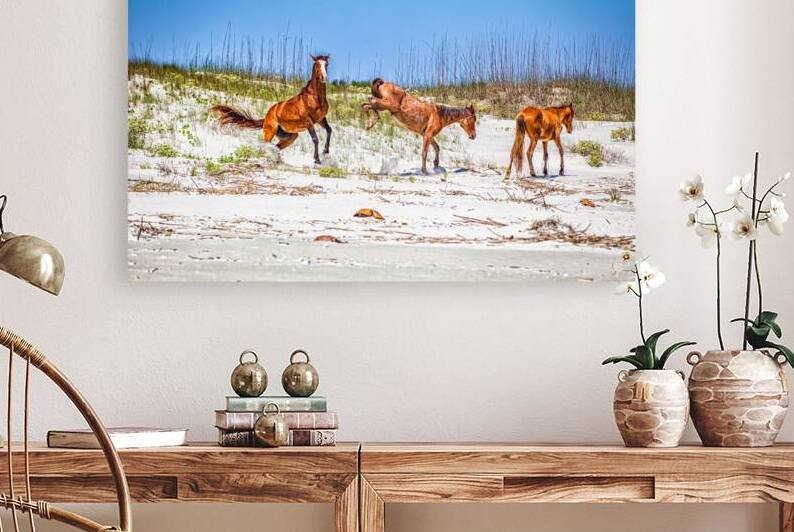 IMG 3317 Edit Wild Horses at Cumberland Islan by Gestalt Imagery