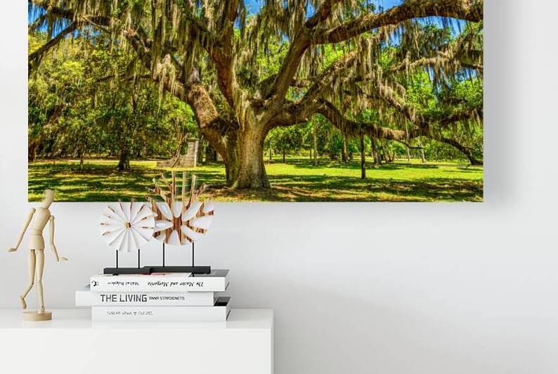 IMG 3568 Edit 2 Cumberland Island National Se by Gestalt Imagery