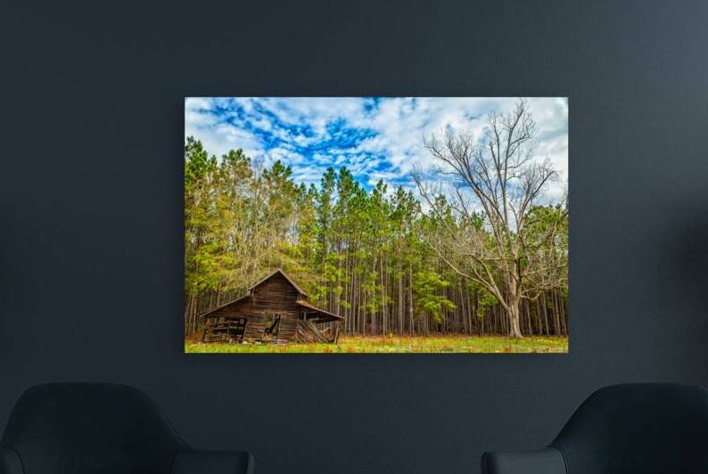 IMG 2697 Edit Old barn in the woods by Gestalt Imagery