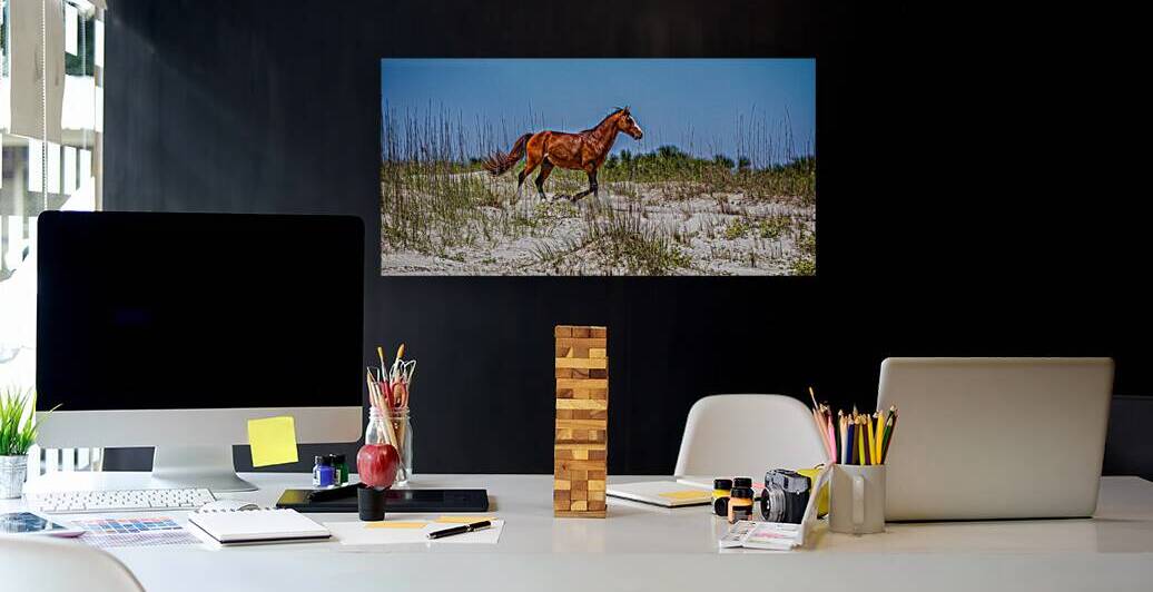 IMG 3293 Edit Wild Horses at Cumberland Islan by Gestalt Imagery