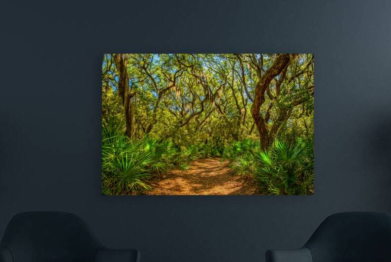 IMG 2831 Edit Cumberland Island National Seas by Gestalt Imagery