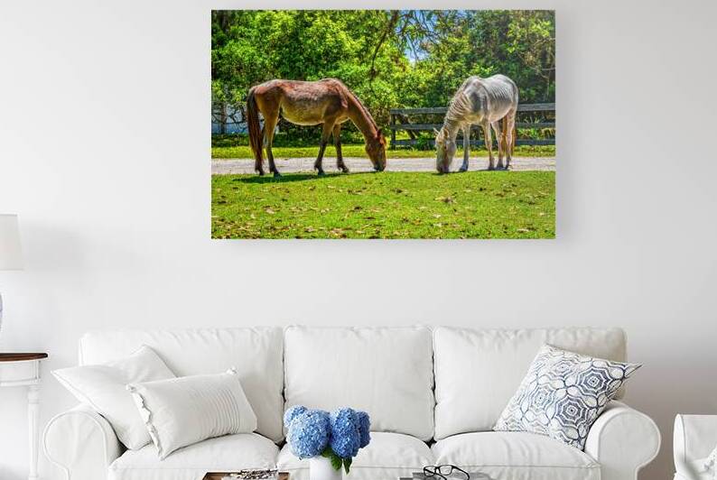IMG 3441 Edit Wild Horses at Cumberland Islan by Gestalt Imagery
