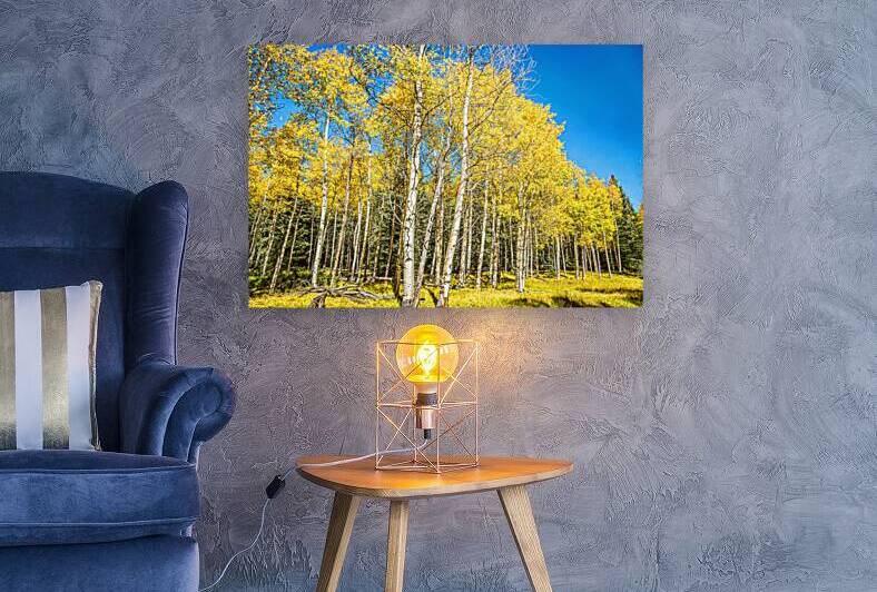 IMG 2701 Edit Aspen Trees Color Change by Gestalt Imagery