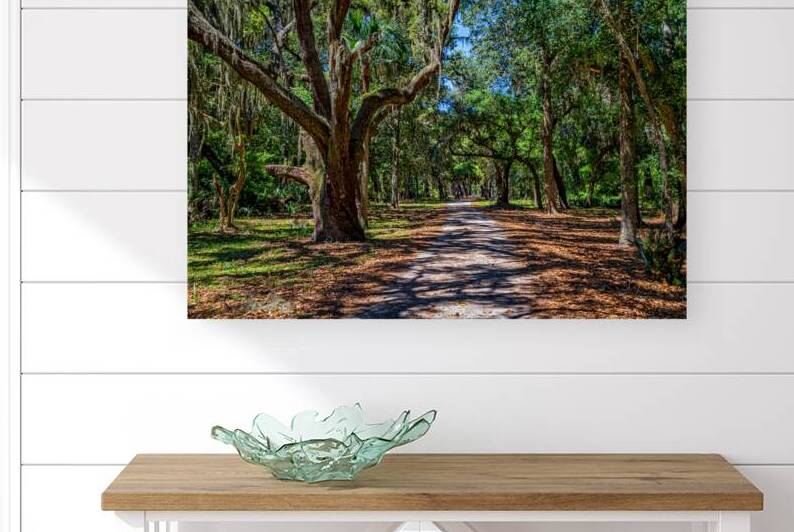 IMG 3571 Edit Cumberland Island National Seas by Gestalt Imagery