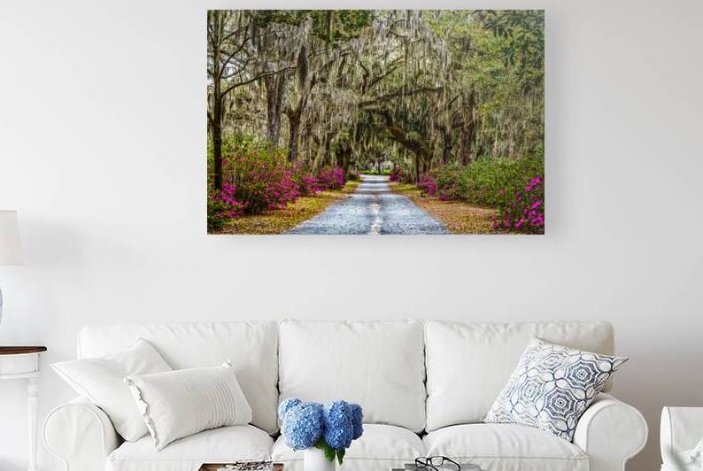IMG 4608 Edit Azaleas and Spanish Moss by Gestalt Imagery