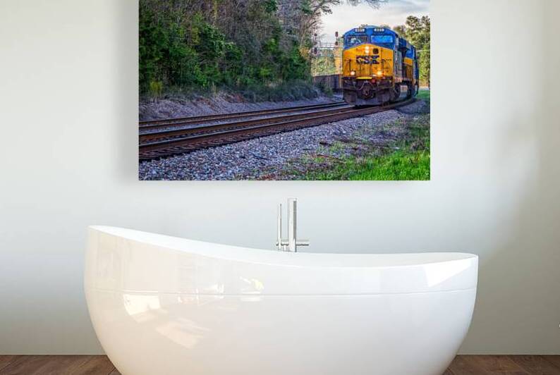 CSX Train in South Carolina by Gestalt Imagery