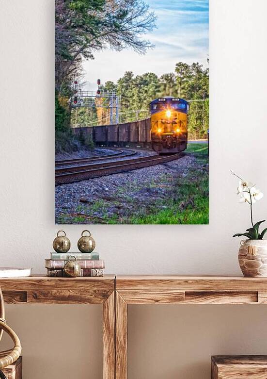 IMG 5941 Edit 2 CSX Train in South Carolina by Gestalt Imagery