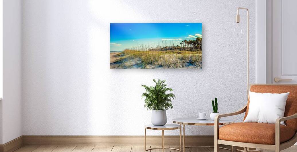 IMG 3673 Edit Amelia Island Dunes by Gestalt Imagery