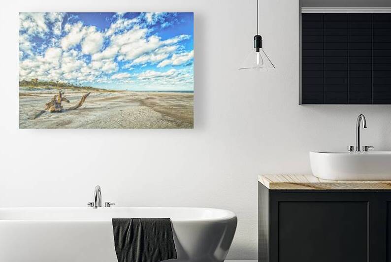 IMG 3704 Edit Amelia Island Dunes by Gestalt Imagery