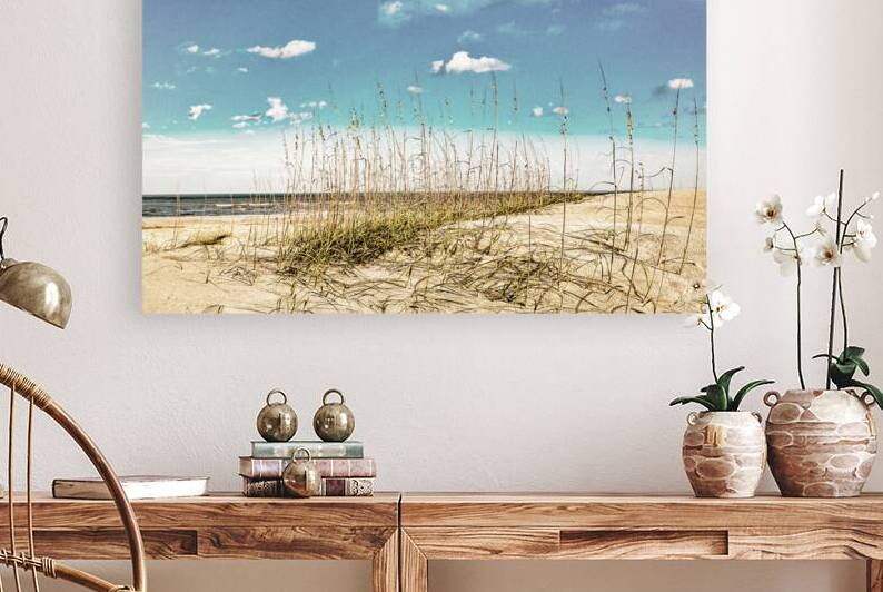 IMG 3706 Edit 2 Amelia Island Dunes by Gestalt Imagery