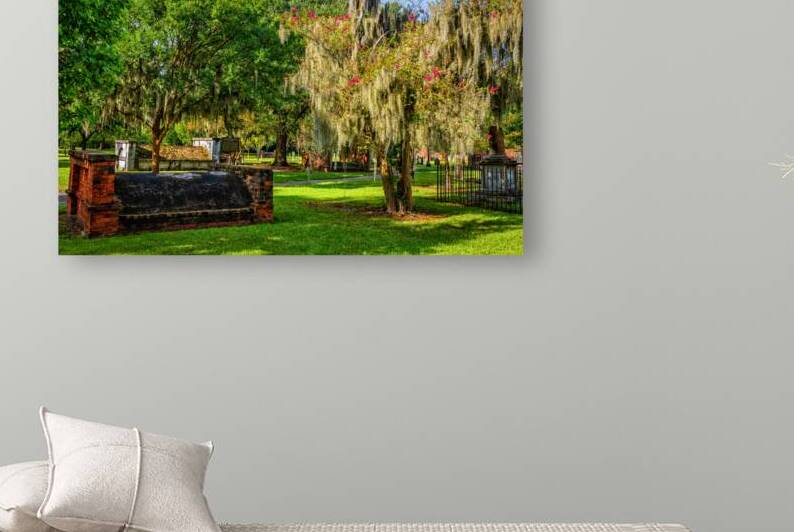 IMG 6199 Edit Crape Myrtle in Colonial Park C by Gestalt Imagery