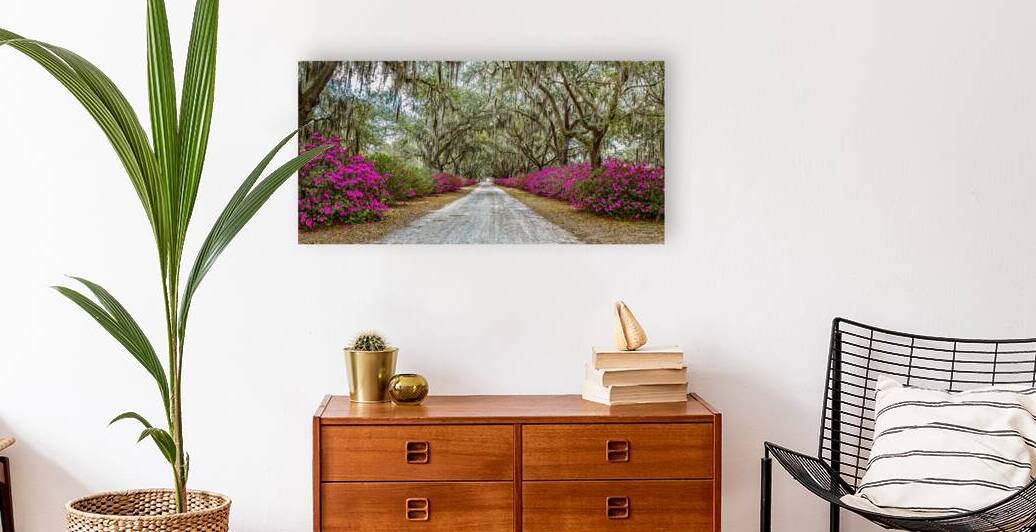 IMG 4605 Edit Azaleas and Spanish Moss by Gestalt Imagery