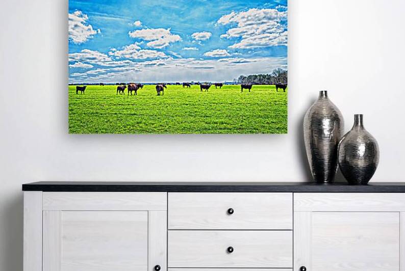 IMG 4327 Edit Cattle in a Pasture by Gestalt Imagery