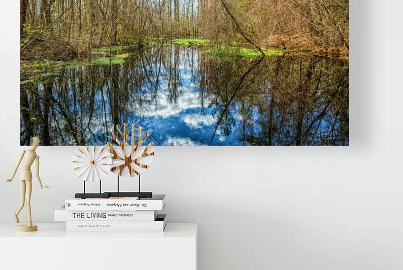 IMG 4298 Edit Swamp in Southeastern Georgia by Gestalt Imagery