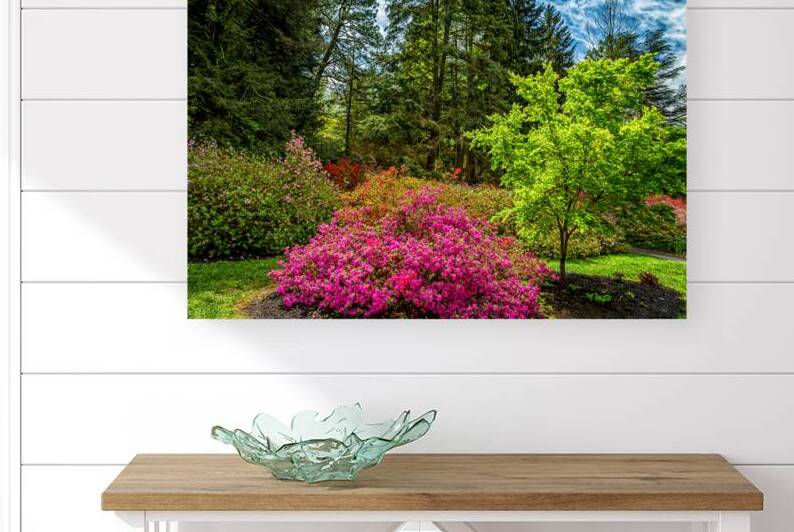 IMG 4144 Edit Biltmore Estate Gardens and Gro by Gestalt Imagery
