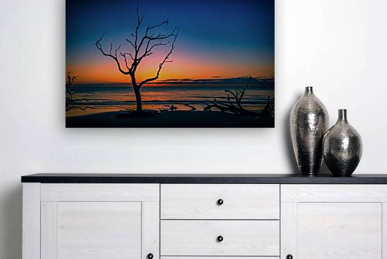 IMG 7226 Edit Driftwood Beach Jekyll Island G by Gestalt Imagery