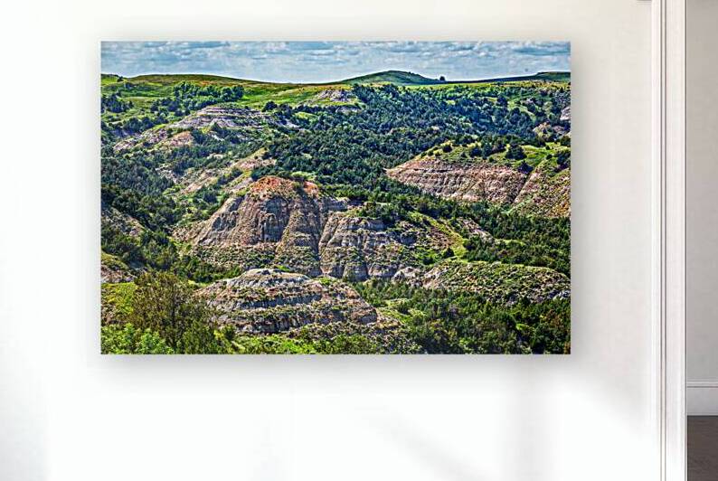 IMG 9248 Edit Theodore Roosevelt National Par by Gestalt Imagery