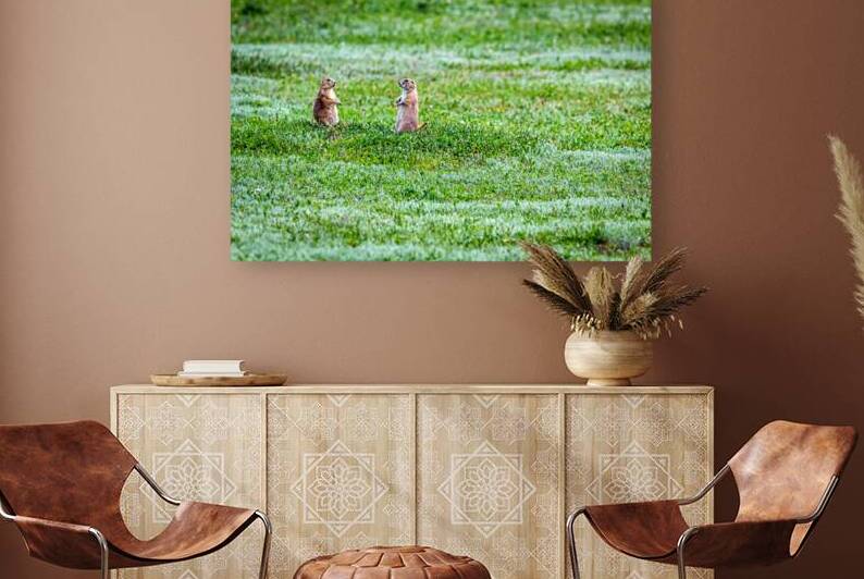IMG 9296 Edit Prairie Dog Town by Gestalt Imagery