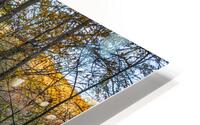  MG 4652 Edit1 HD Metal print