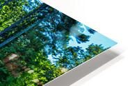IMG 7228 Edit Wason Pond Bridge HD Metal print