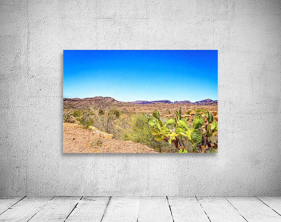 Apache Trail Scenic Drive View Wall Preview