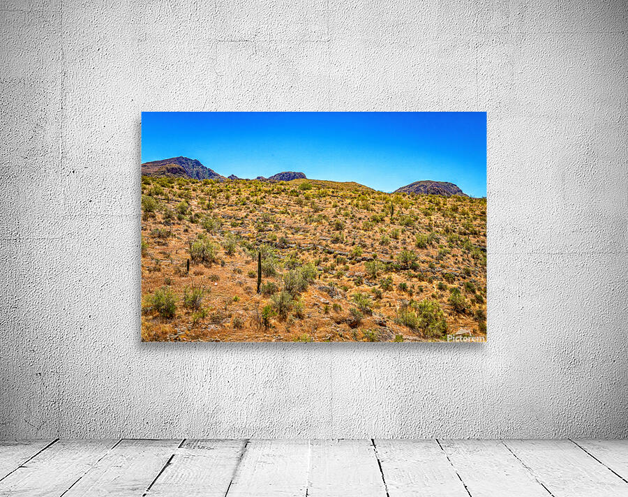 Apache Trail Scenic Drive View Wall Preview