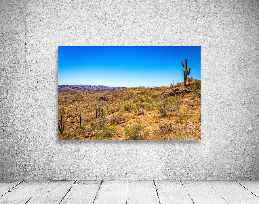 Apache Trail Scenic Drive View Wall Preview