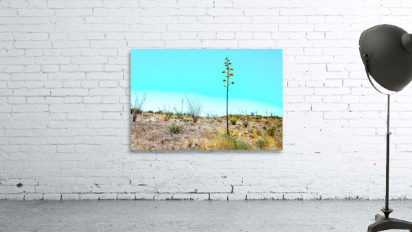 Apache Trail Scenic Drive View Wall Preview