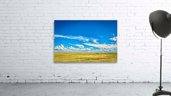 The Great Plains Wall Preview