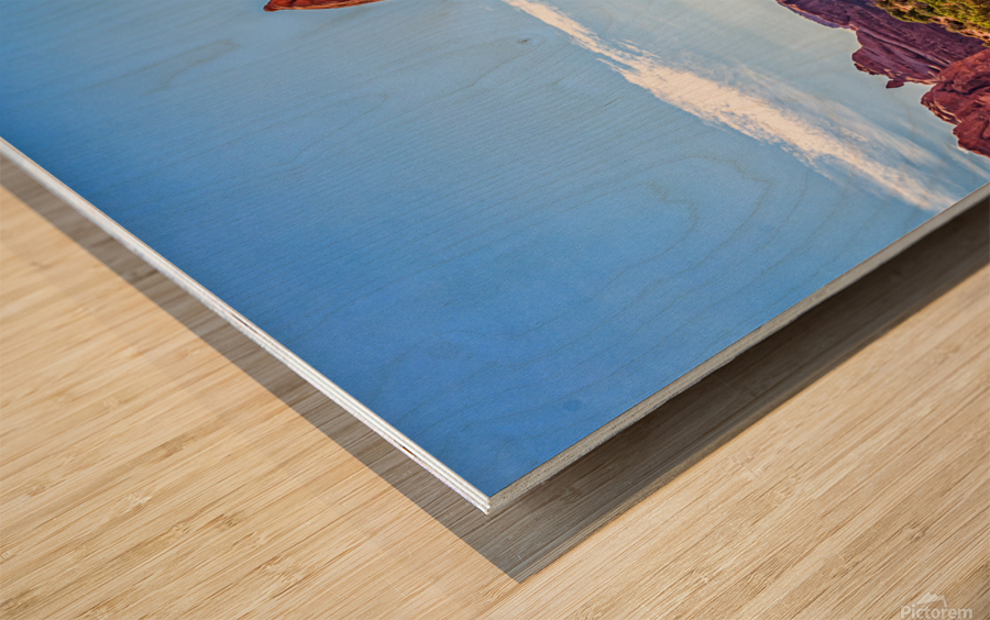 Arches National Park Moab Utah Wood print