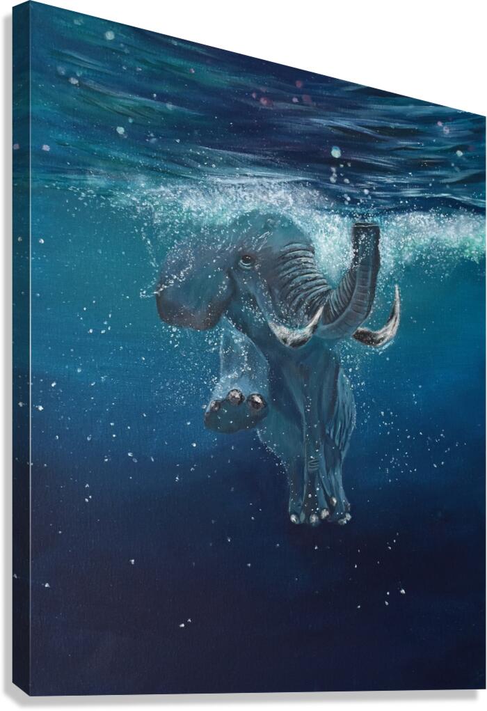 OutforaSwim KPolack Canvas Print