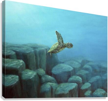 Into the Blue | Print Canvas Print
