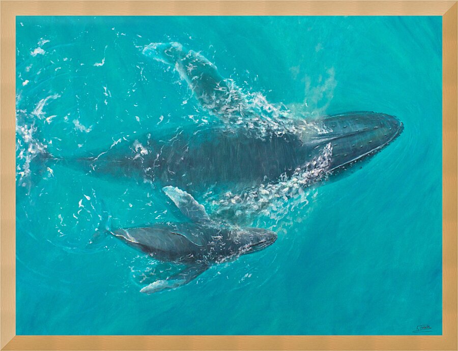 Aquatic Harmony | Print Picture Frame print