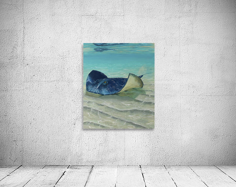 CastingRays Wall Preview