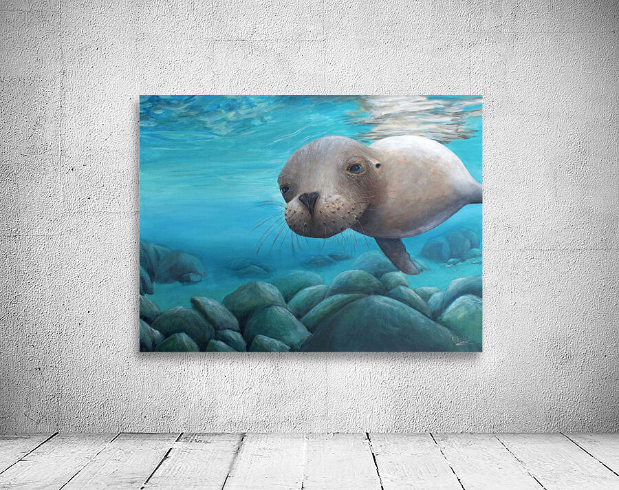 Curious | Print Wall Preview