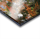 Hidden Trail in Autumn Leaves Acrylic print