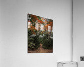 Hidden Trail in Autumn Leaves Acrylic Print